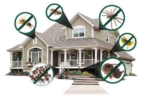 Residential pest control service